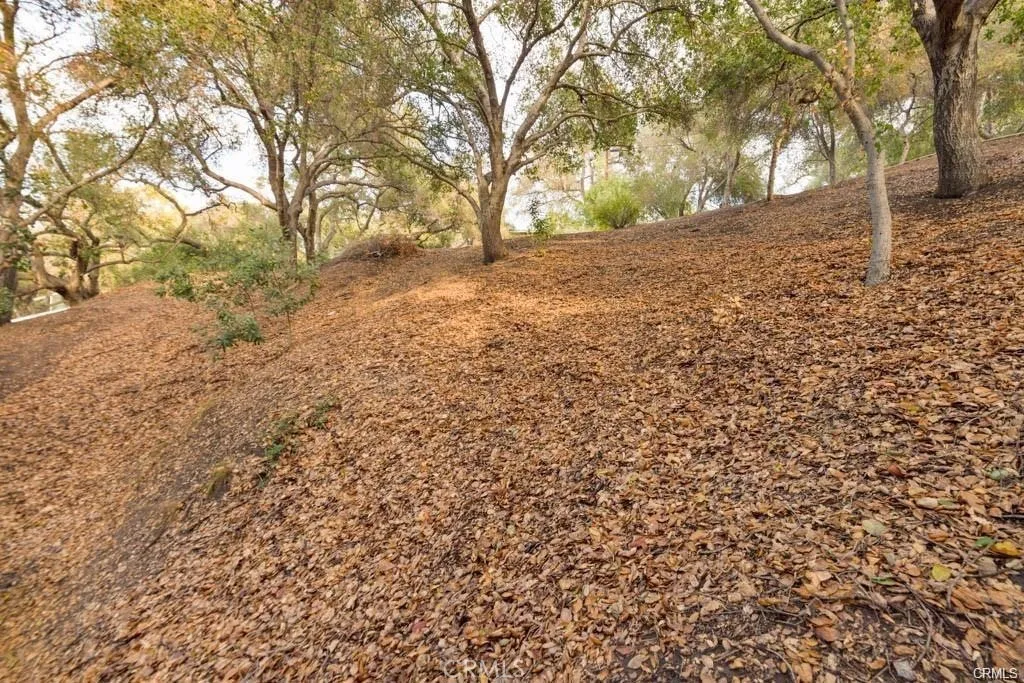 0 Elzevir Road Woodland Hills, CA 91364 - Photo 15 of 30 a view of a yard with trees