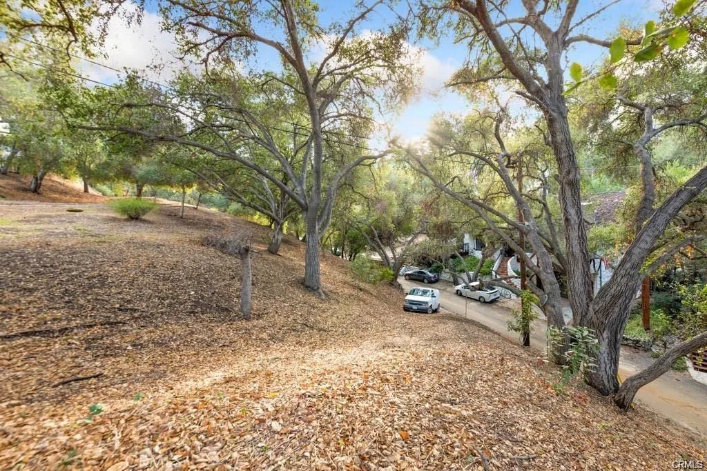 0 Elzevir Road Woodland Hills, CA 91364 - Photo 2 of 30 a view of a tree in the backyard of a house