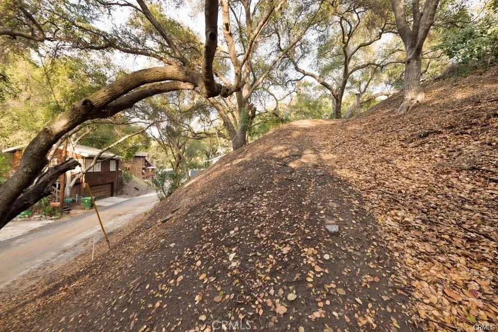 0 Elzevir Road Woodland Hills, CA 91364 - Photo 21 of 30 a backyard of a house with lots of green space