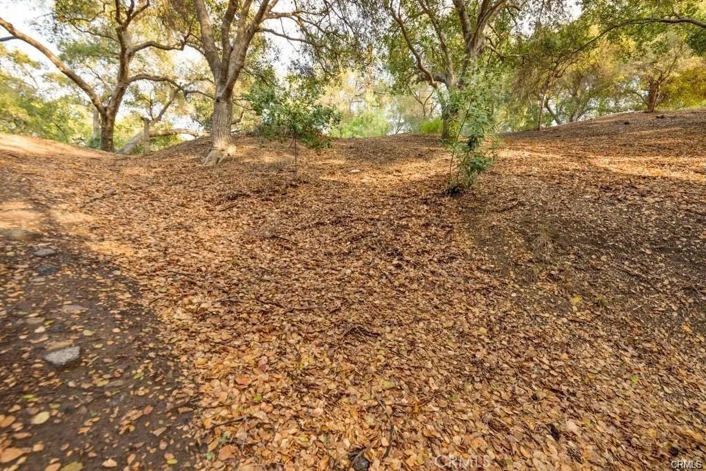 0 Elzevir Road Woodland Hills, CA 91364 - Photo 22 of 30 a view of dirt yard with a tree