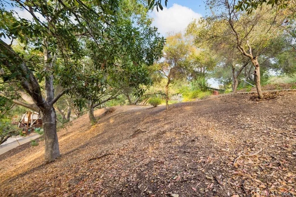 0 Elzevir Road Woodland Hills, CA 91364 - Photo 25 of 30 a view of a yard with a tree