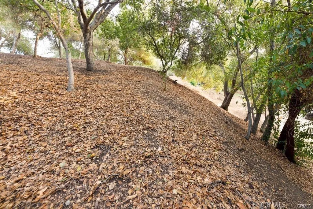 0 Elzevir Road Woodland Hills, CA 91364 - Photo 26 of 30 a view of outdoor space and yard