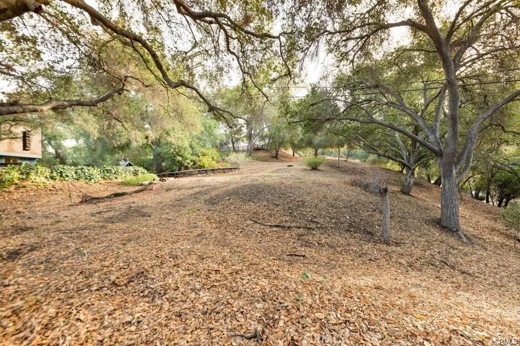 0 Elzevir Road Woodland Hills, CA 91364 - Photo 29 of 30 a backyard of a house with lots of green space
