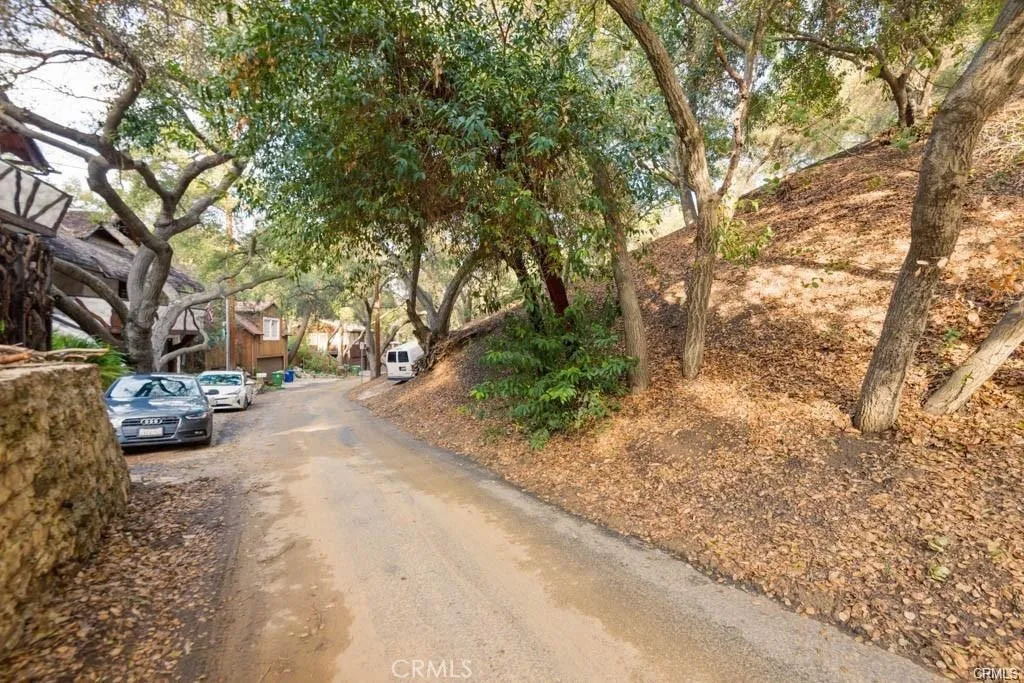 0 Elzevir Road Woodland Hills, CA 91364 - Photo 4 of 30 a view of a yard with plants and trees