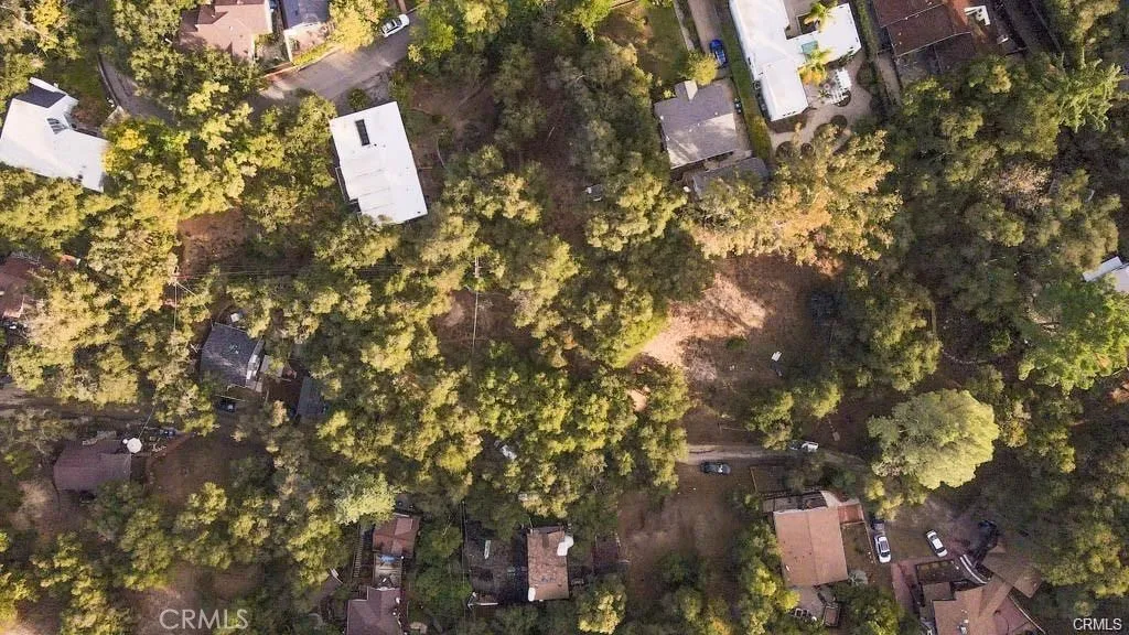 0 Elzevir Road Woodland Hills, CA 91364 - Photo 6 of 30 a close up of a tree