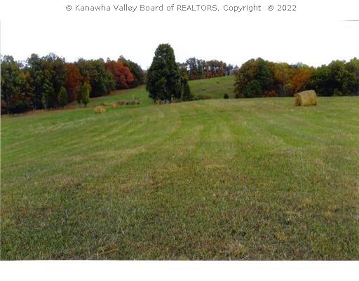 0 Angerona Road Evans, WV 25241 - Photo 5 of 8 Land.