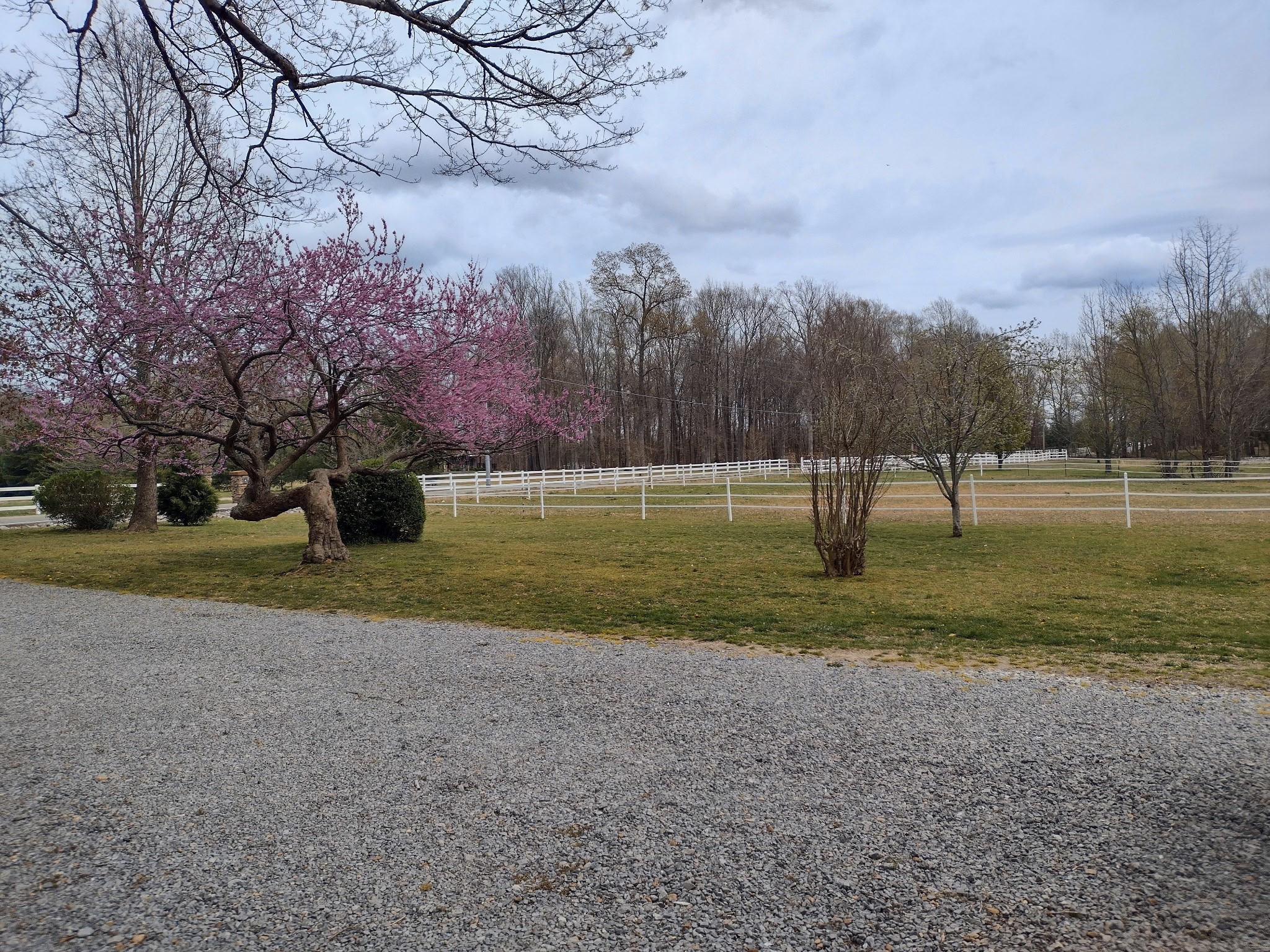 2242 Pleasant View Road Pleasant View, TN 37146 - Photo 27 of 29 Gallery Image 27