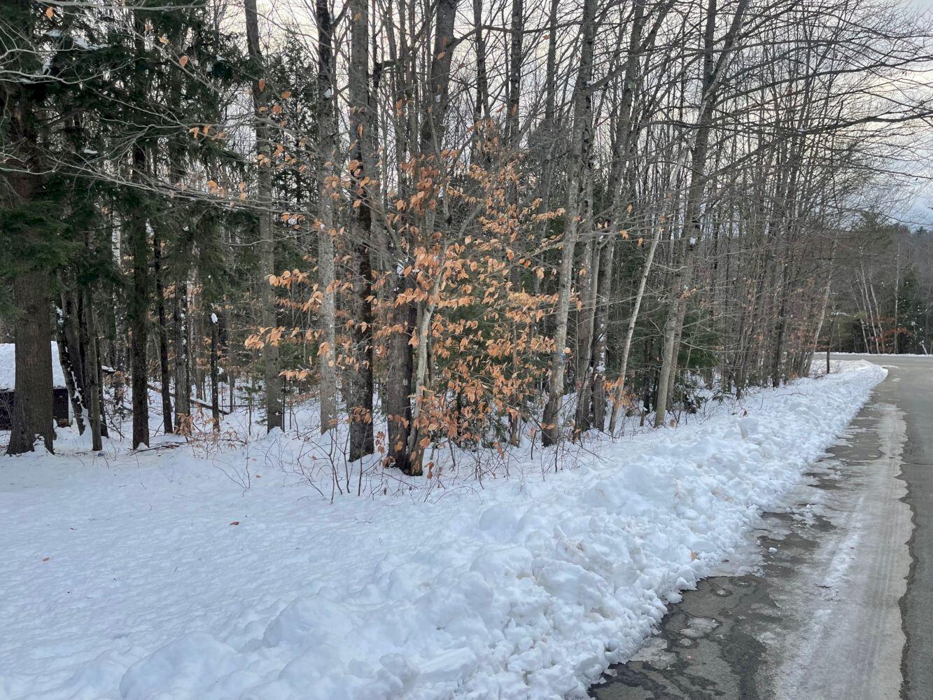 60 Rolling Ridge Jay, ME 04239 - Photo 28 of 31 IMG_5637_result