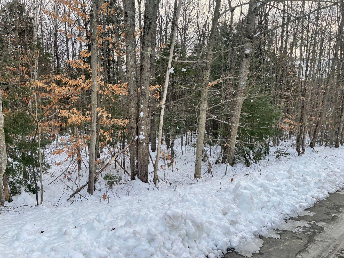 60 Rolling Ridge Jay, ME 04239 - Photo 29 of 31 IMG_5638_result