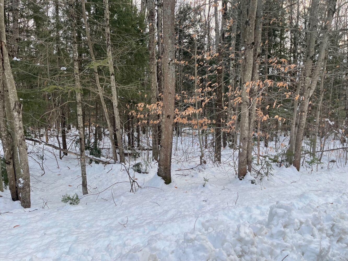 60 Rolling Ridge Jay, ME 04239 - Photo 30 of 31 IMG_5639_result