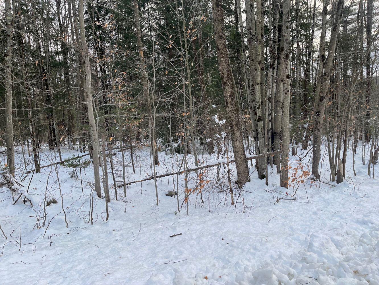 60 Rolling Ridge Jay, ME 04239 - Photo 31 of 31 IMG_5640_result