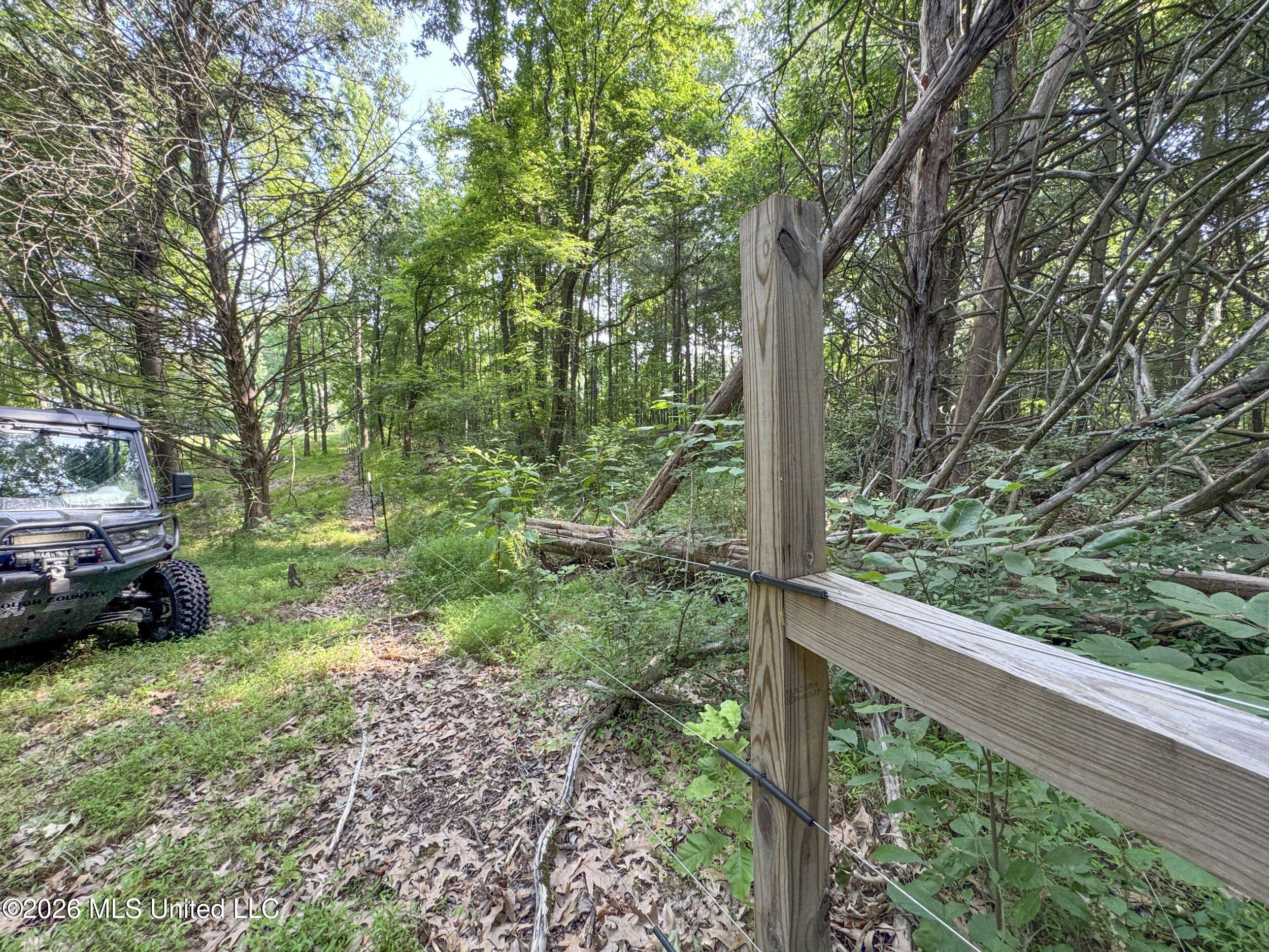2169 Slocum Road Hernando, MS 38632 - Photo 72 of 94 8slcm31