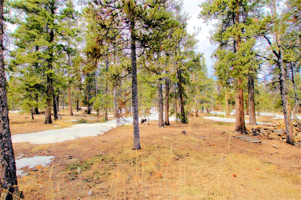 211 Wild Rye Road Fairplay, CO 80440 - Photo 13 of 29 Gallery Image 13