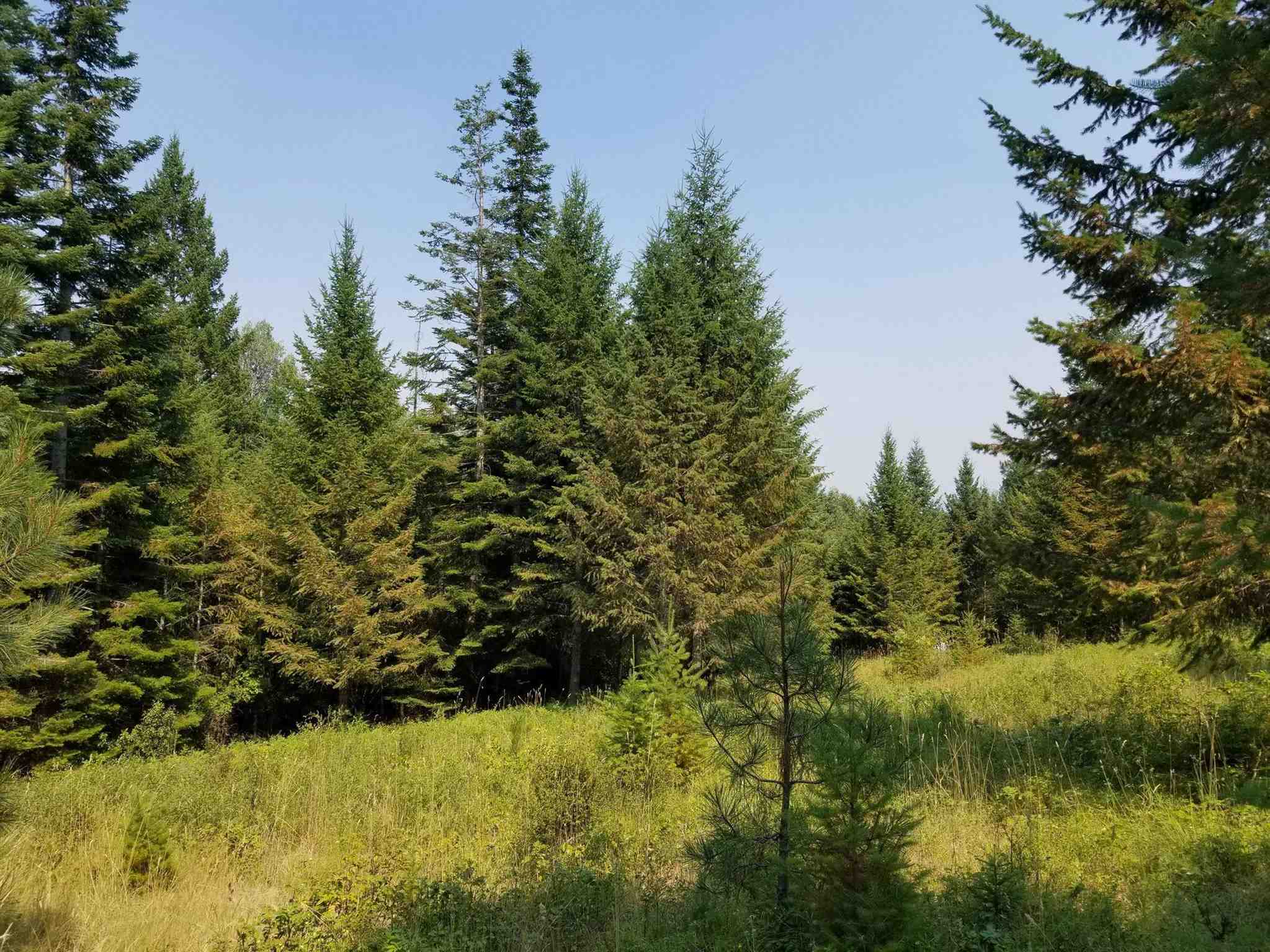 357 Corbett Creek Road Colville, WA 99114 - Photo 1 of 6