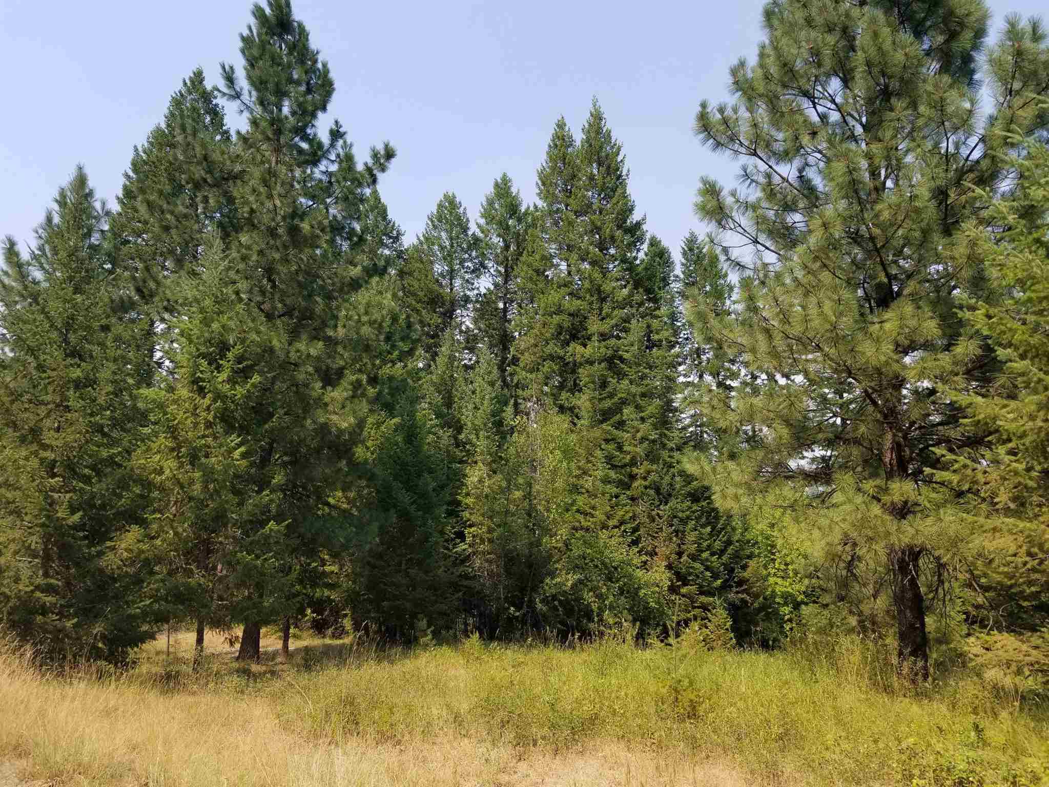 357 Corbett Creek Road Colville, WA 99114 - Photo 3 of 6