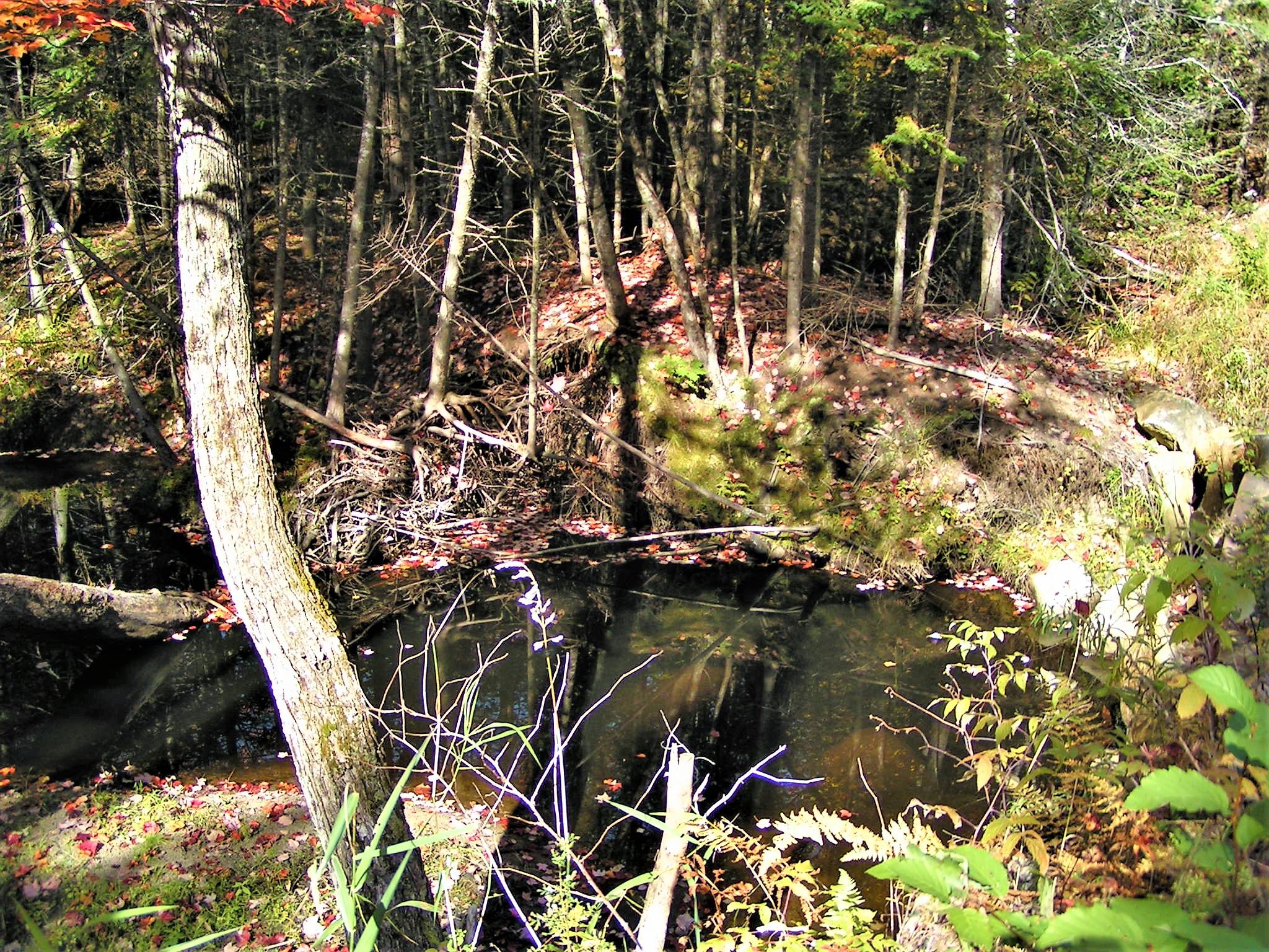 0 Buckfield Road South Paris, ME 04281 - Photo 4 of 11 PICT0035