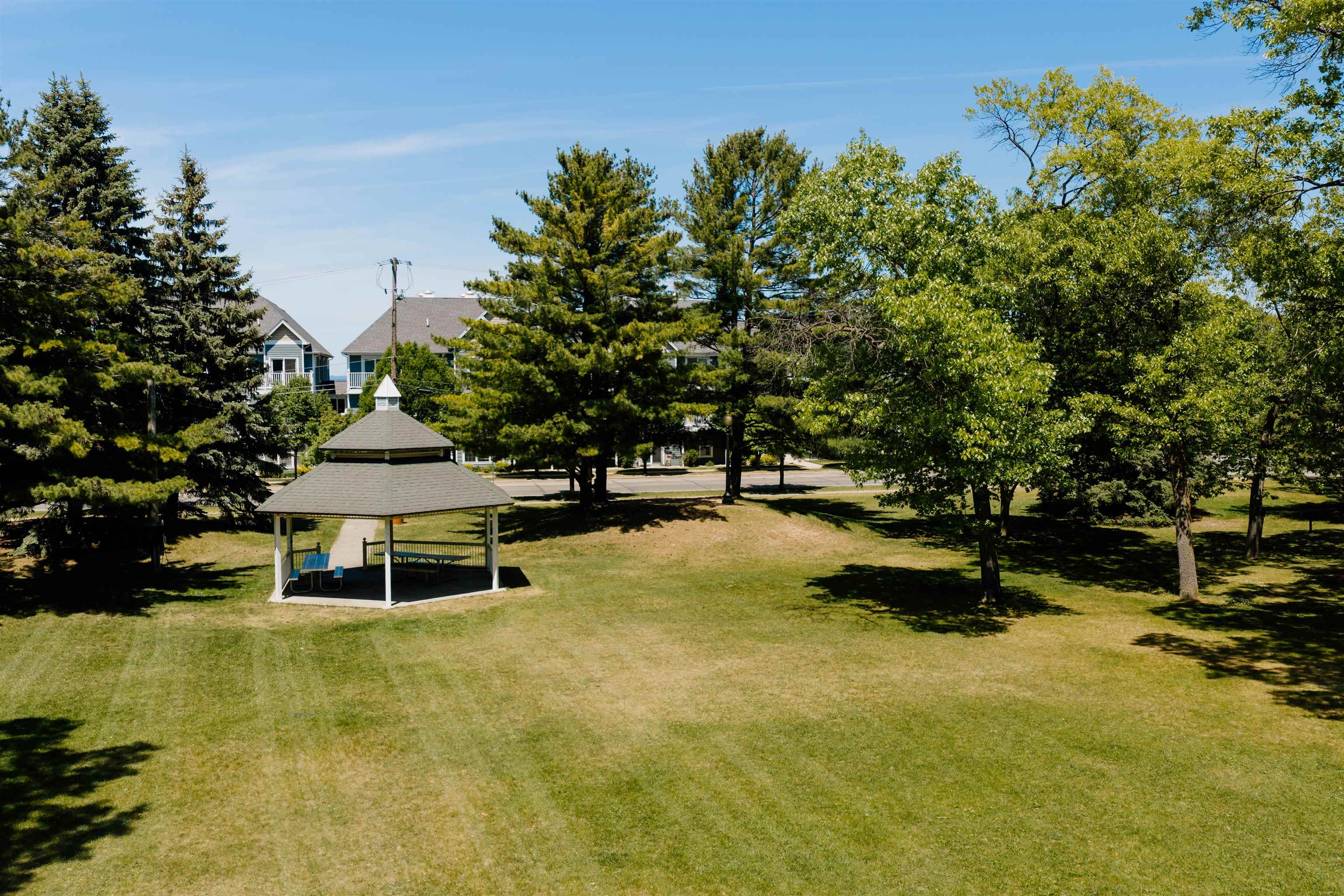 100 Hope Street, Unit 11 Traverse City, MI 49686 - Photo 5 of 61