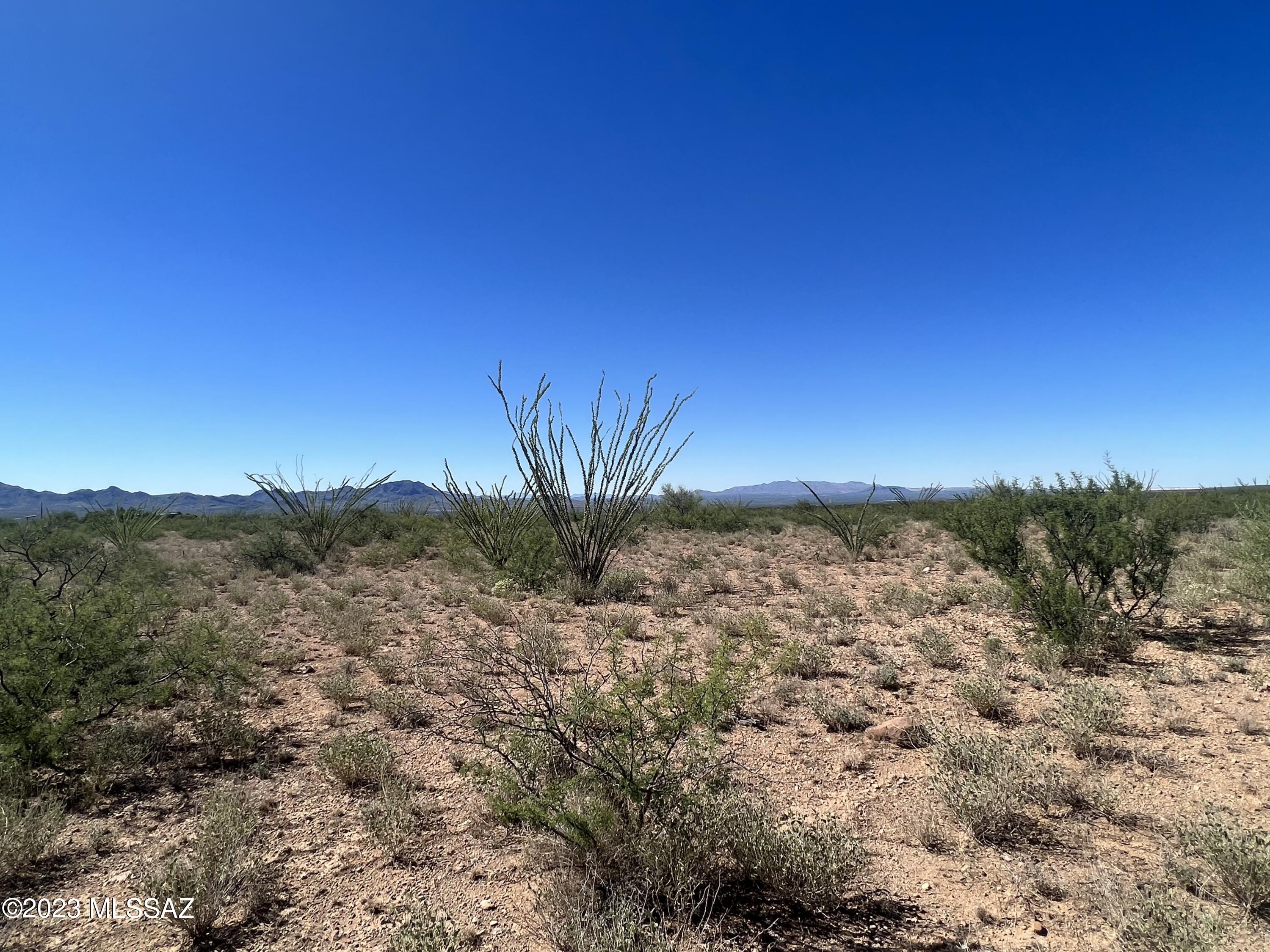 Tbd Camino Nacozari, Unit 71 Rio Rico, AZ 85648 - Photo 9 of 19 Build Your Dream Home