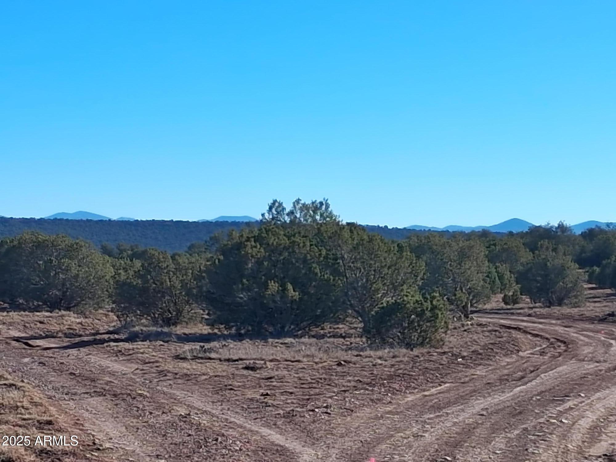 201 County Road Concho, AZ 85924 - Photo 12 of 21 a view of a yard with a tree