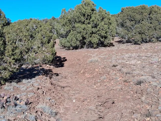 $19,997 | 201 County Road, Show Low, AZ 85901