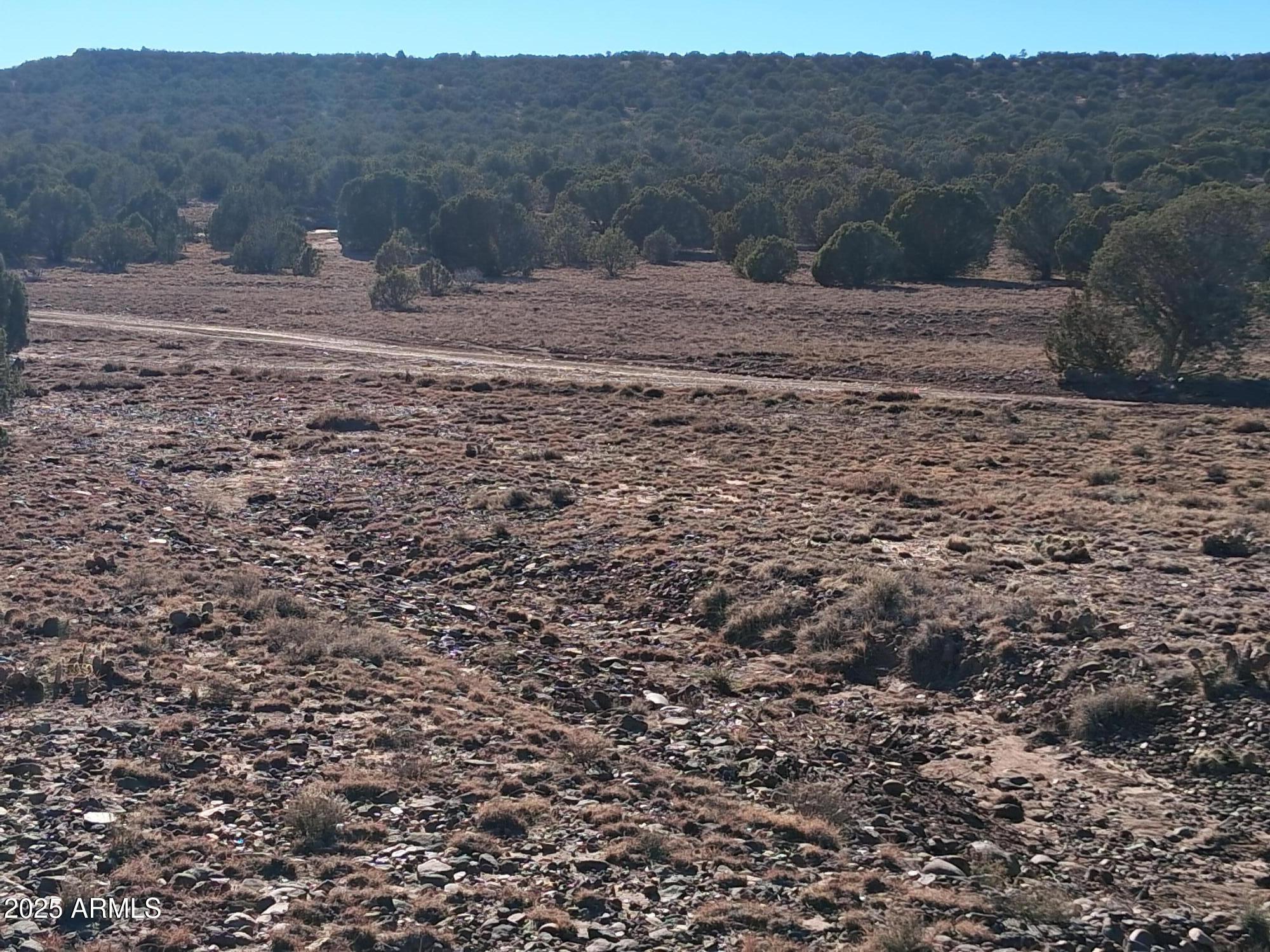 201 County Road Concho, AZ 85924 - Photo 14 of 21 a view of a yard with a tree