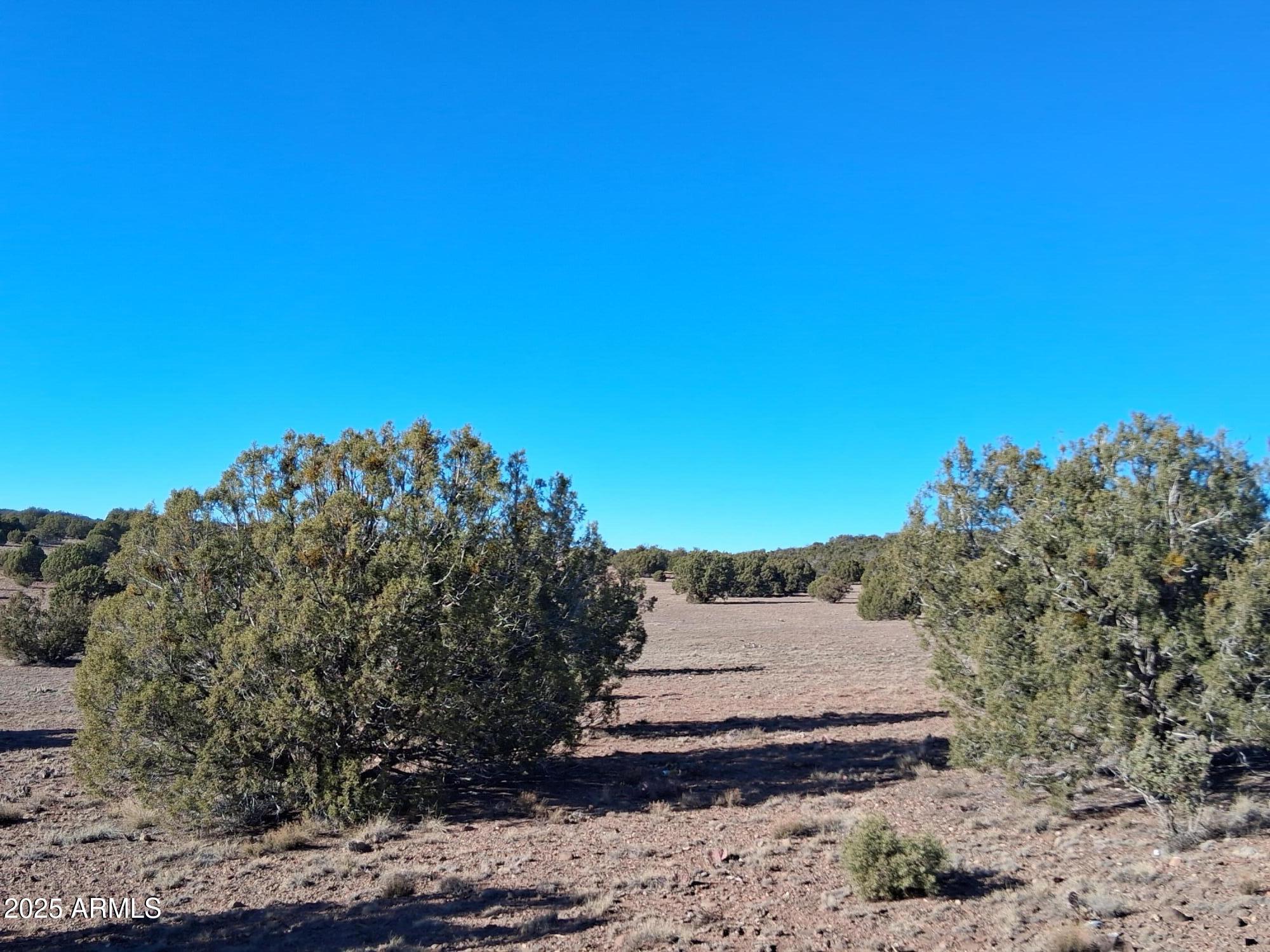 201 County Road Concho, AZ 85924 - Photo 17 of 21 a view of a white house with a yard and mountain view