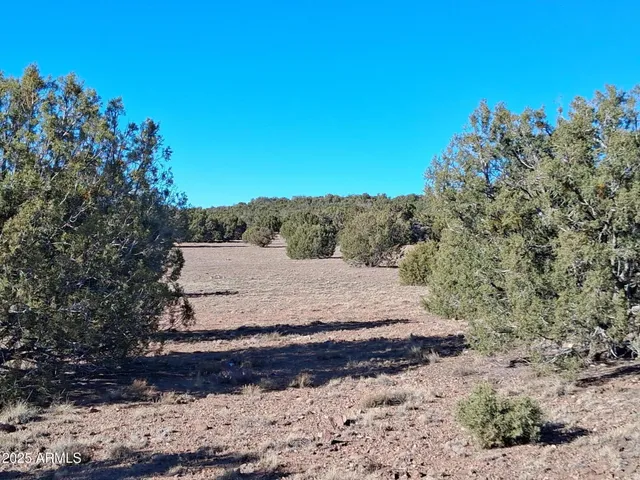 $19,997 | 201 County Road, Show Low, AZ 85901