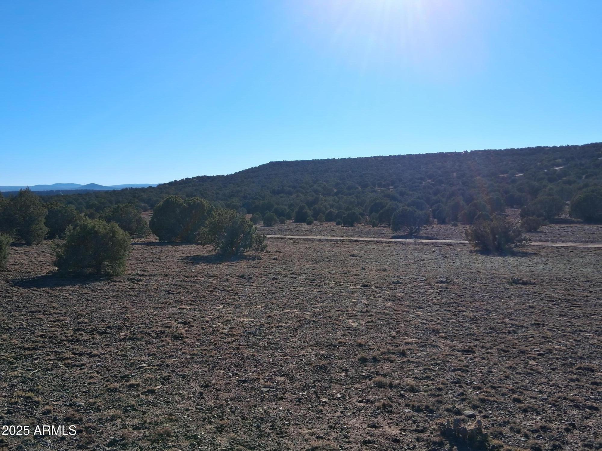201 County Road Concho, AZ 85924 - Photo 19 of 21 a view of a dry yard with mountains in the background