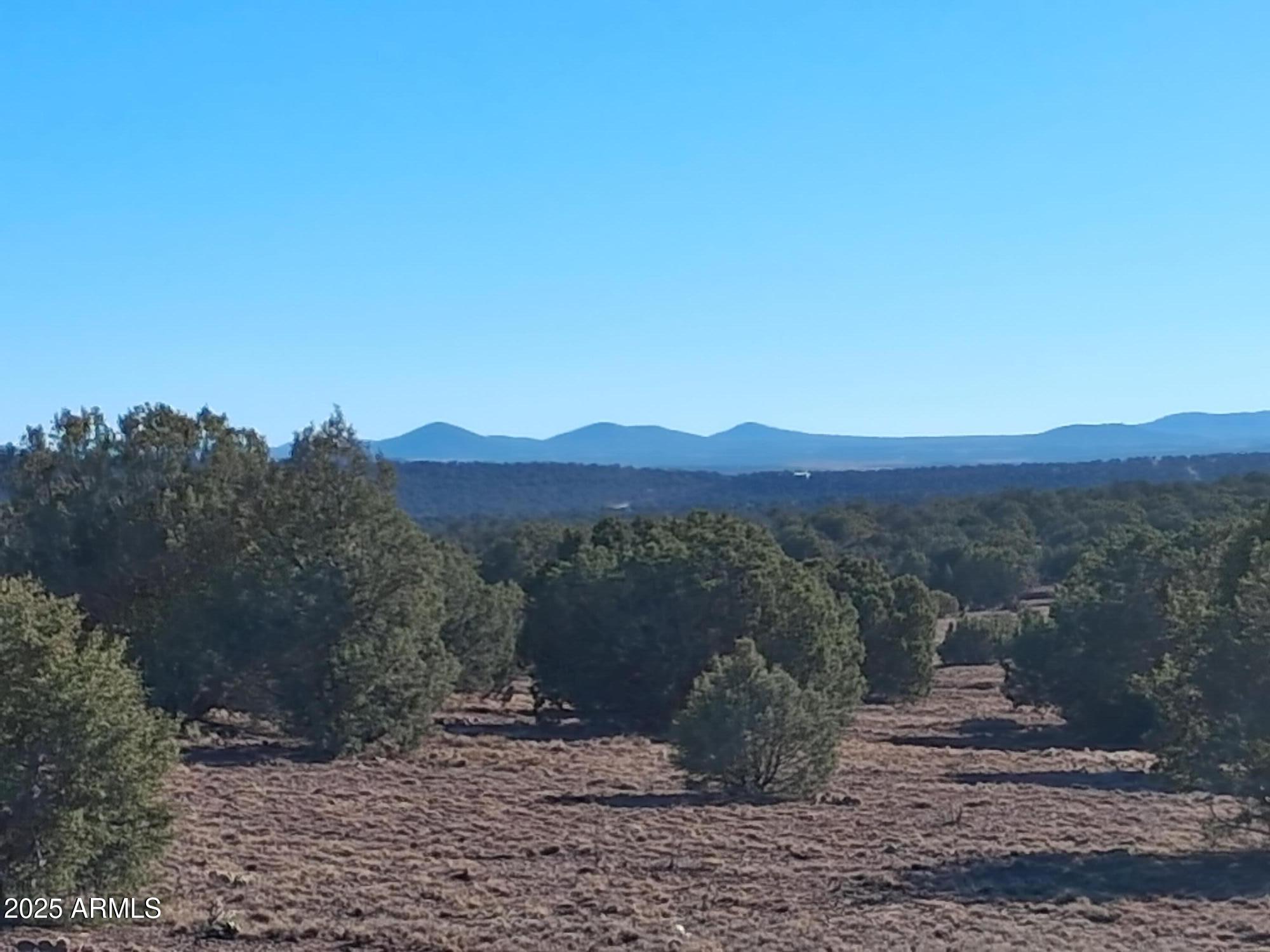 201 County Road Concho, AZ 85924 - Photo 5 of 21 a view of a street with a building in the background