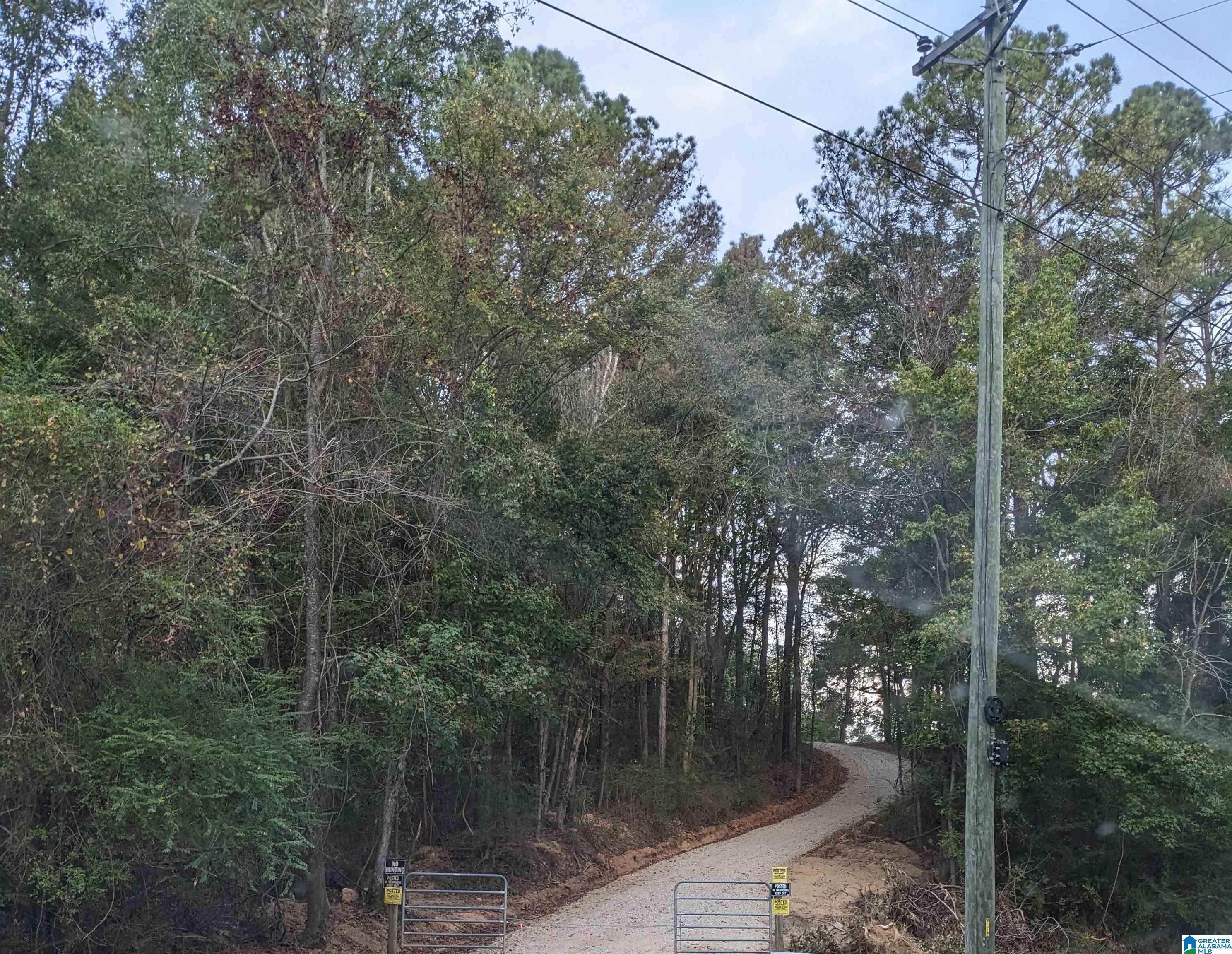 16091 Jackson Trace Road Lincoln, AL 35096 - Photo 2 of 17