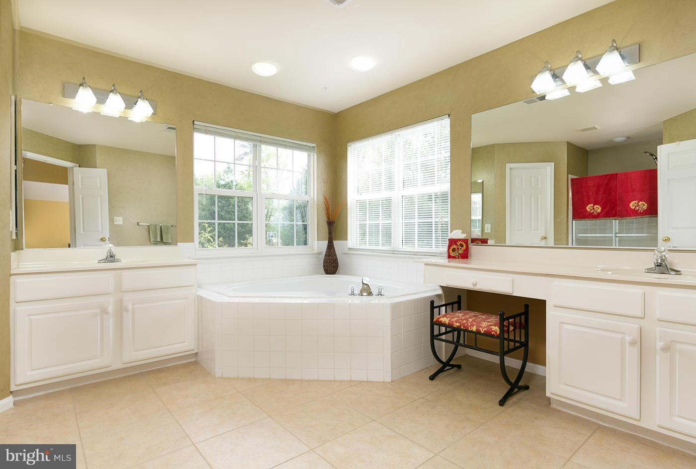 18286 Maple Spring Court Leesburg, VA 20176 - Photo 16 of 30 Bath (Master)