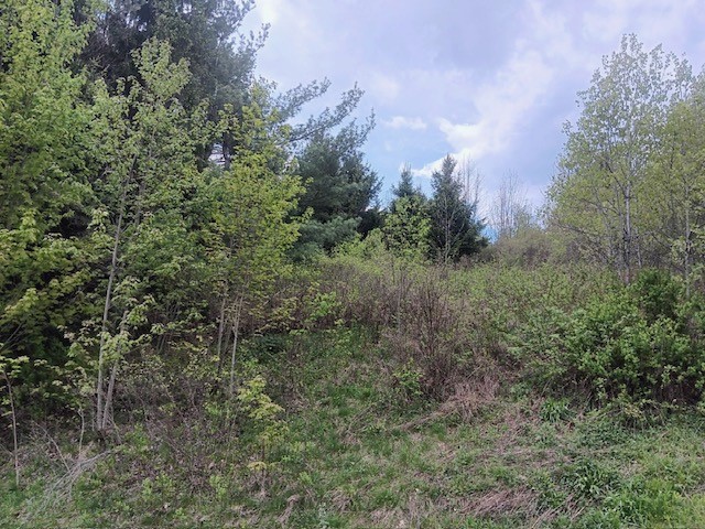 902 West Hill Road Worcester, NY 12197 - Photo 4 of 10