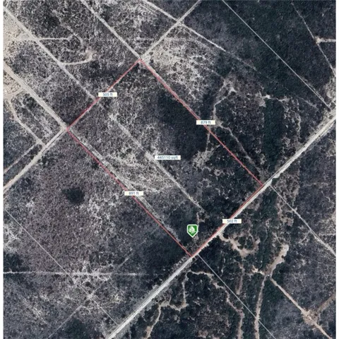 a picture of a tree in a backyard