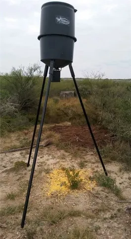 a picture of a outdoor space