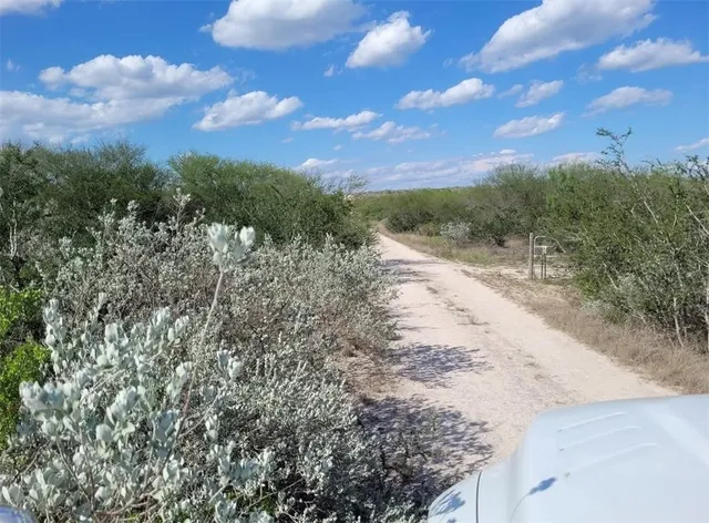 $78,000 | 0 Racoon Drive, George West, TX 78022