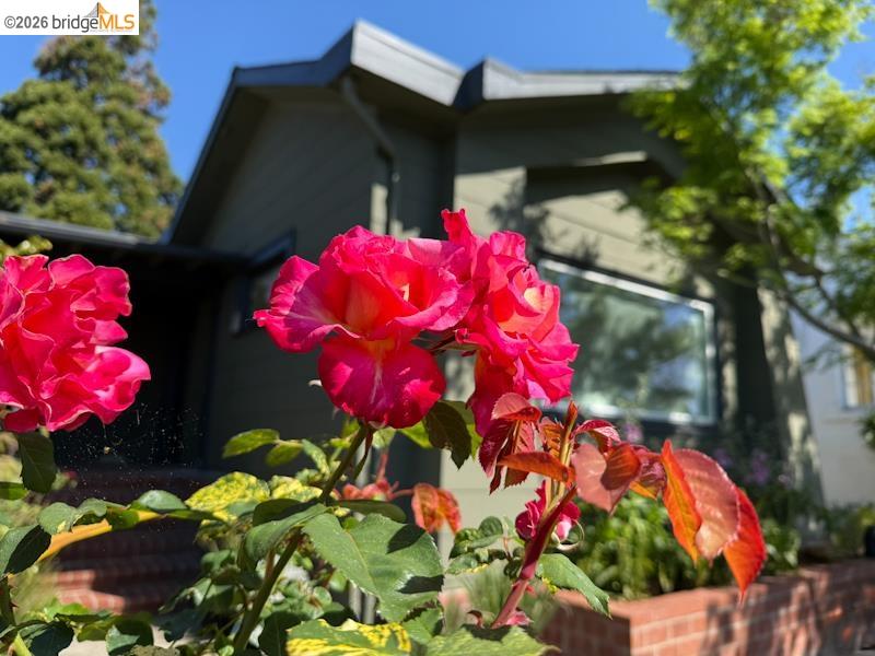 1233 Carleton Street Berkeley, CA 94702 - Photo 38 of 41