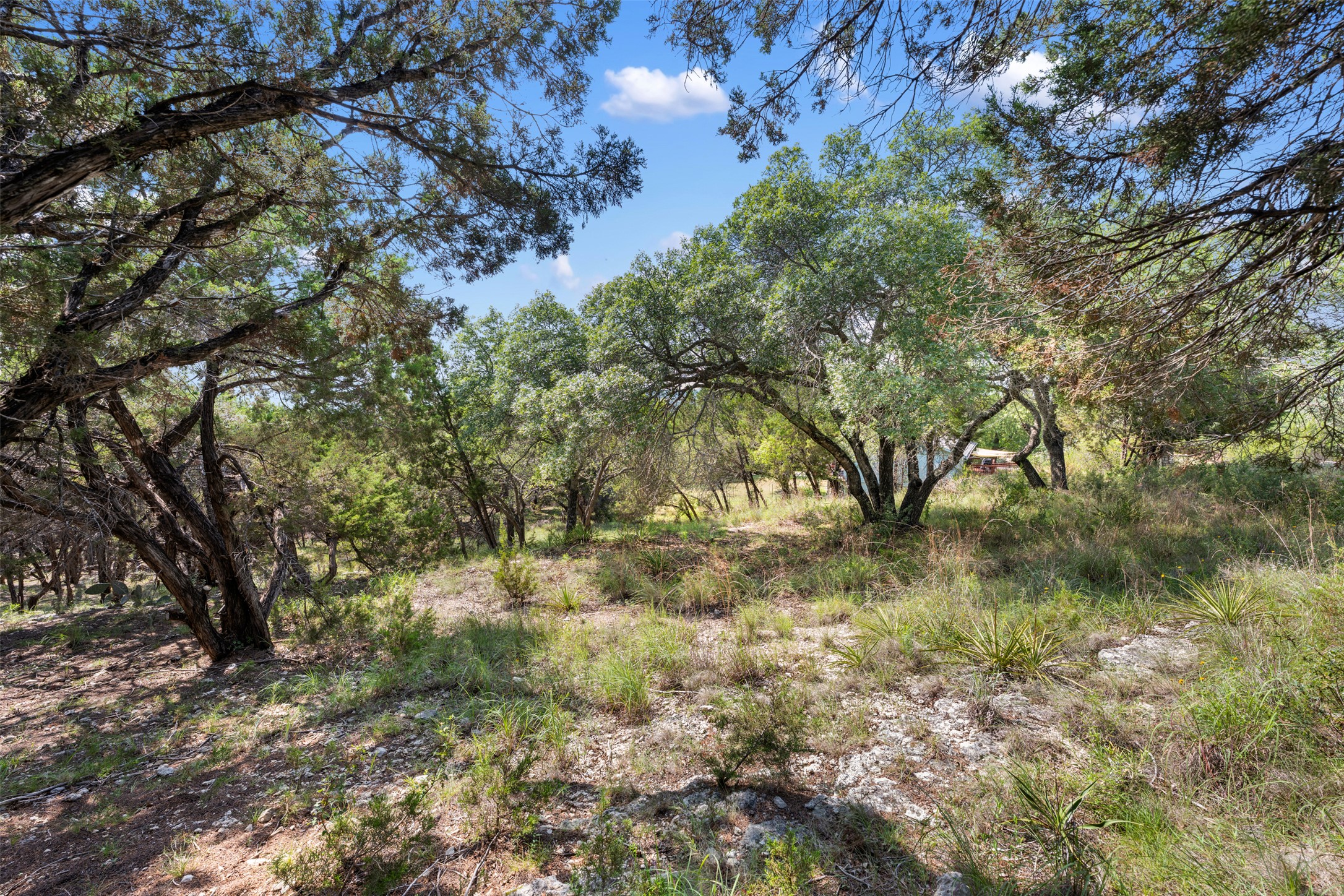 21105 Ridgeview Road Lago Vista, TX 78645 - Photo 19 of 34 Mature trees and native grasses create a tranquil, shaded natural landscape.