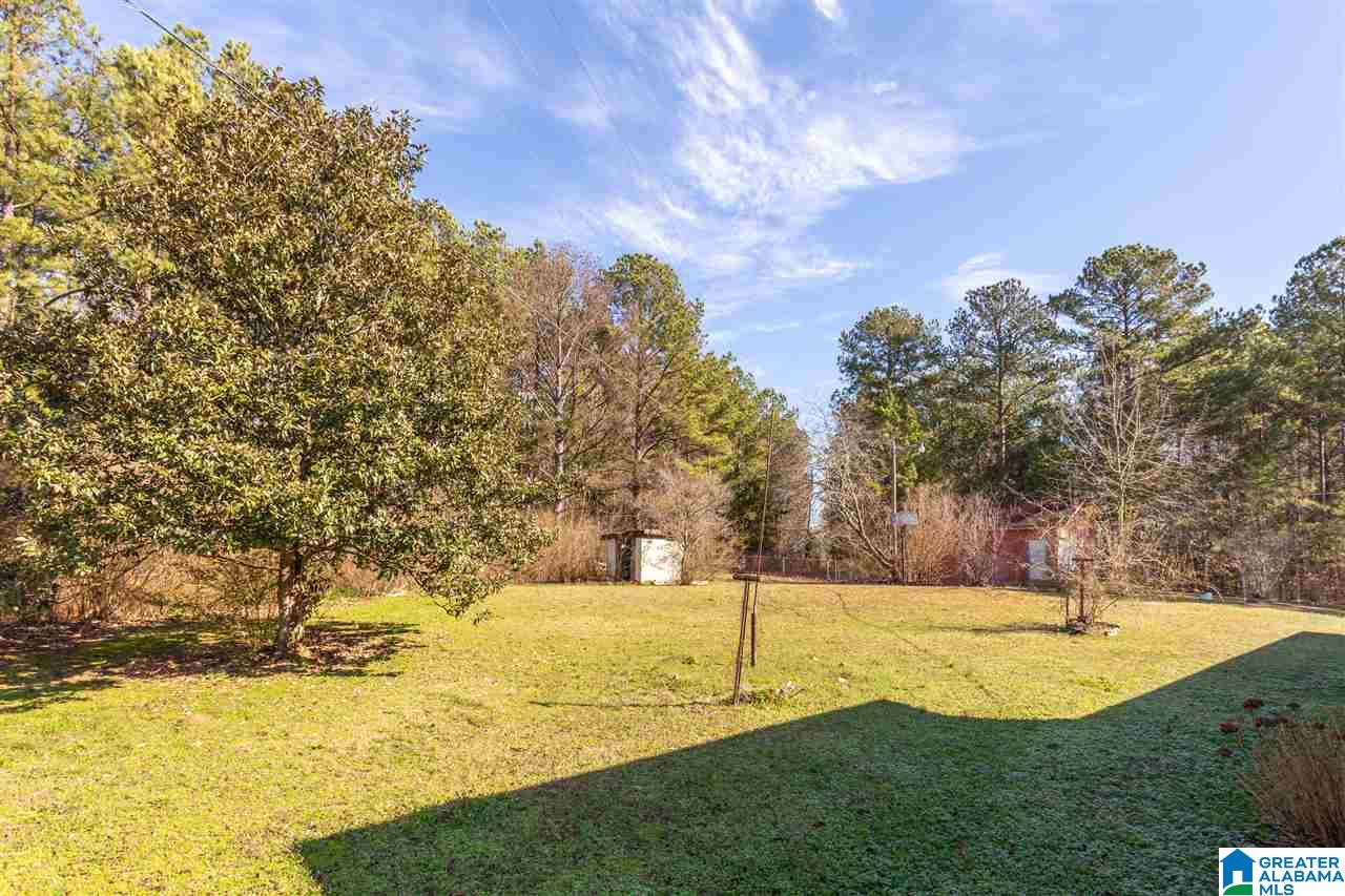 318 Cove Access Road Talladega, AL 35160 - Photo 40 of 48