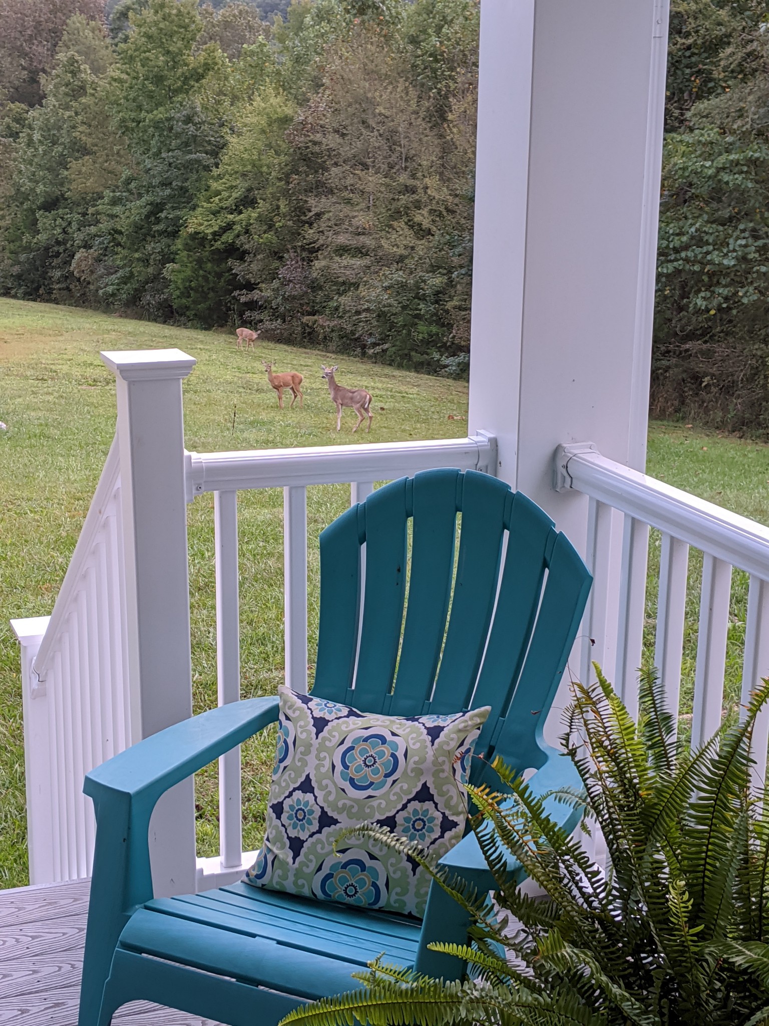 816 Cates Road Lawrenceburg, TN 38464 - Photo 4 of 46