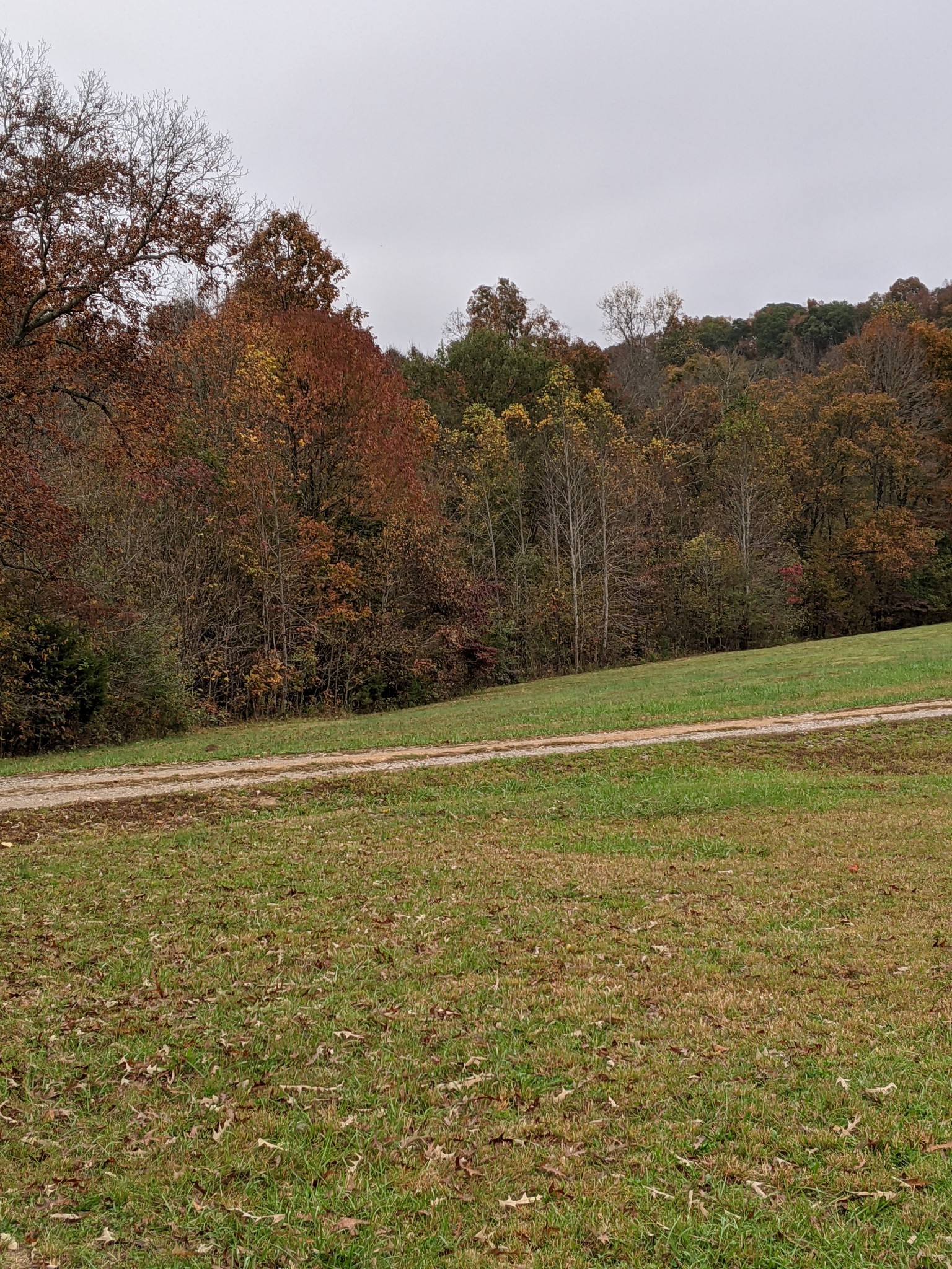 816 Cates Road Lawrenceburg, TN 38464 - Photo 41 of 46