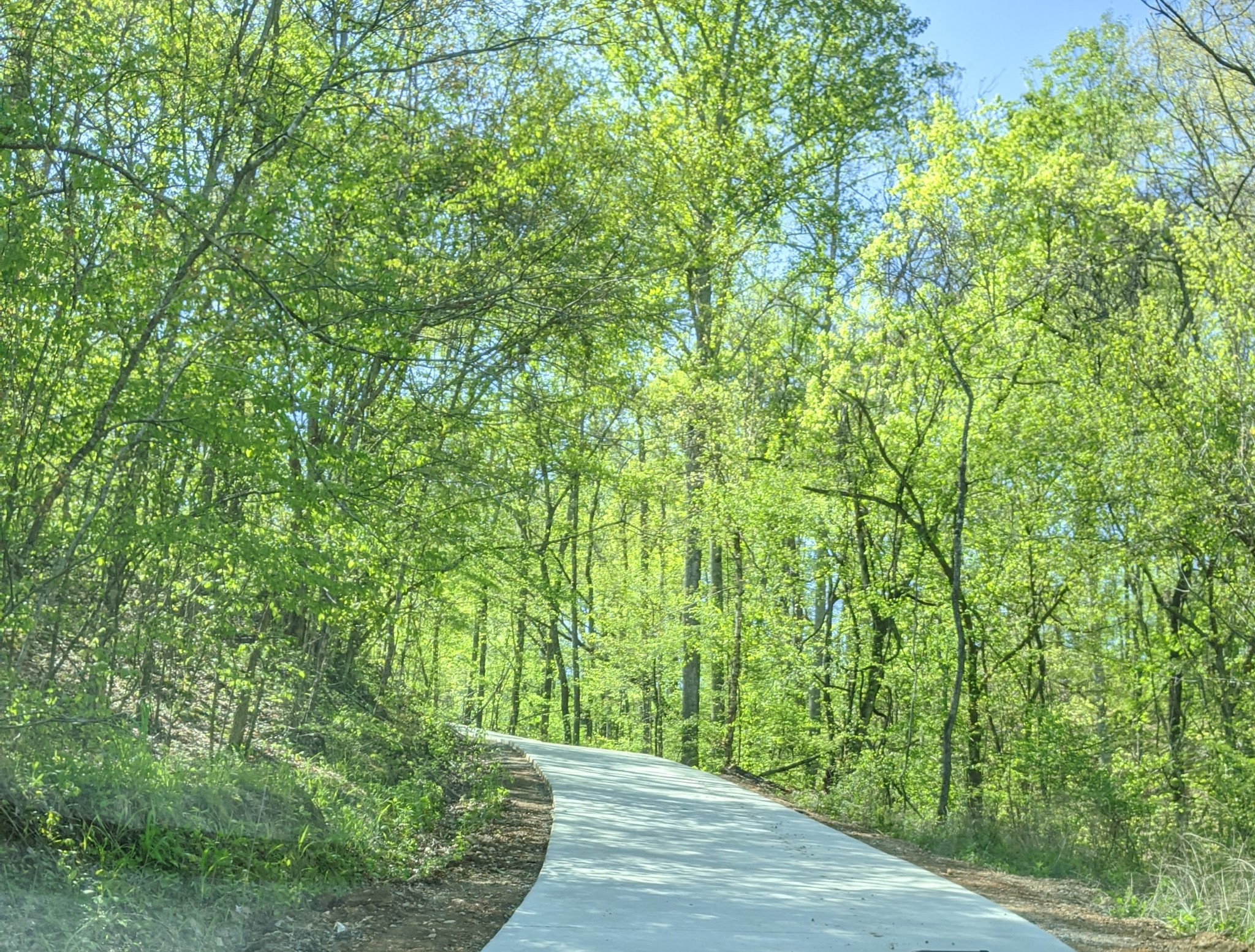 816 Cates Road Lawrenceburg, TN 38464 - Photo 8 of 46