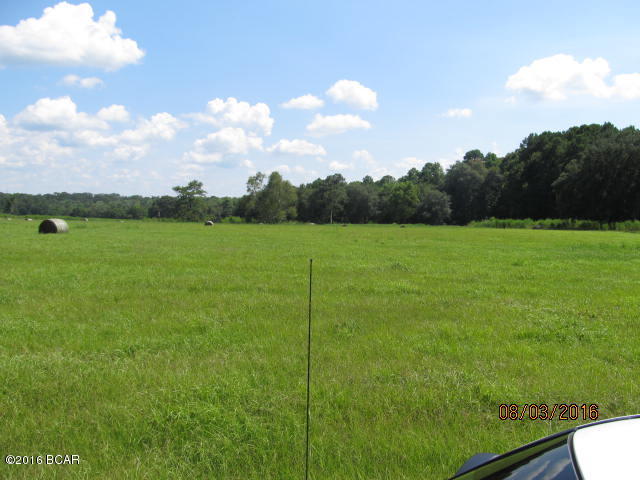 0 Raylene Road Grand Ridge, FL 32442 - Photo 19 of 20 Gallery Image 19