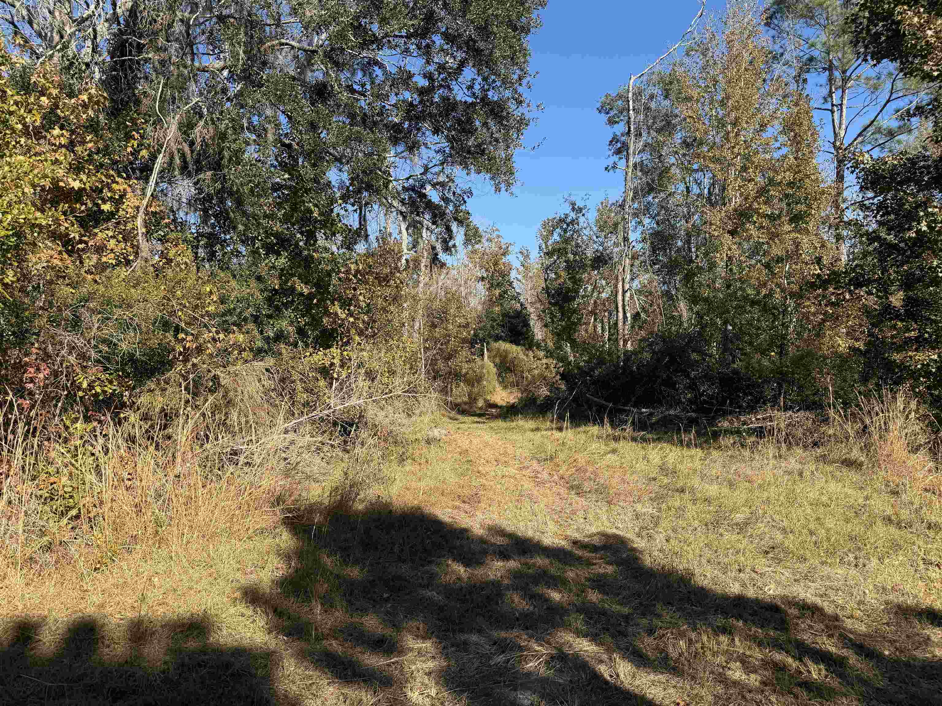 651 Northwest Flowers Road Madison, FL 32340 - Photo 15 of 20