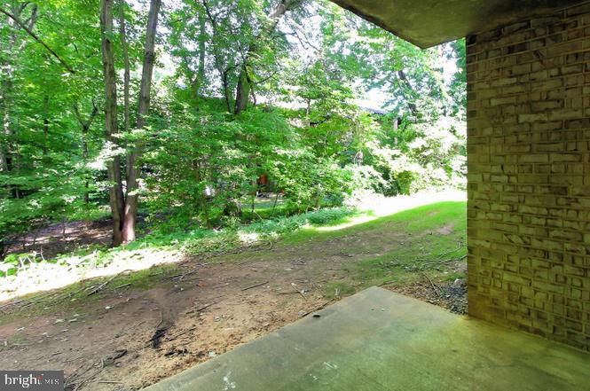 11625 Stoneview Square, Unit 2B Reston, VA 20191 - Photo 20 of 21 a view of a yard with plants and tree