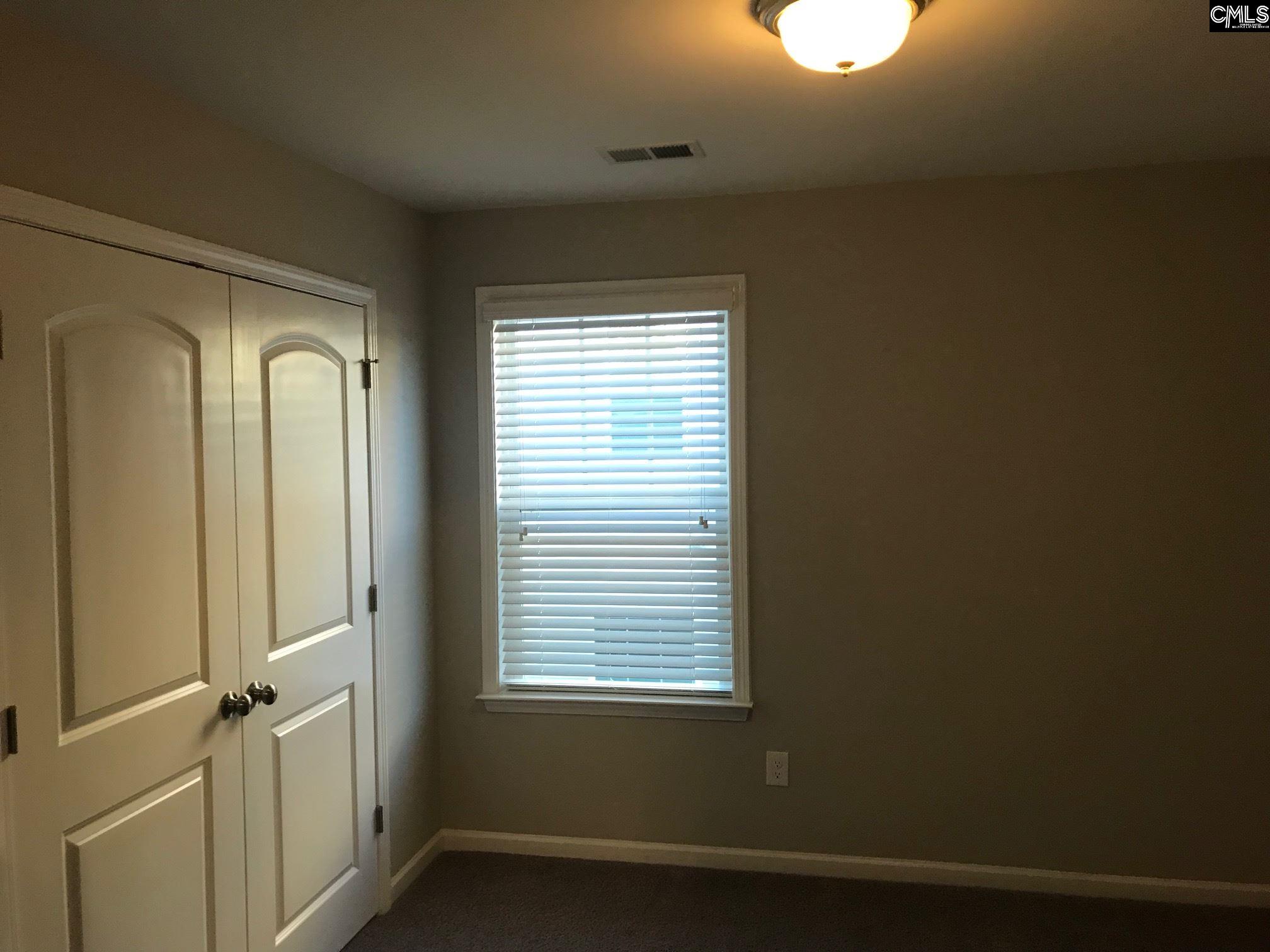 374 Hollow Cove Road Chapin, SC 29036 - Photo 16 of 22