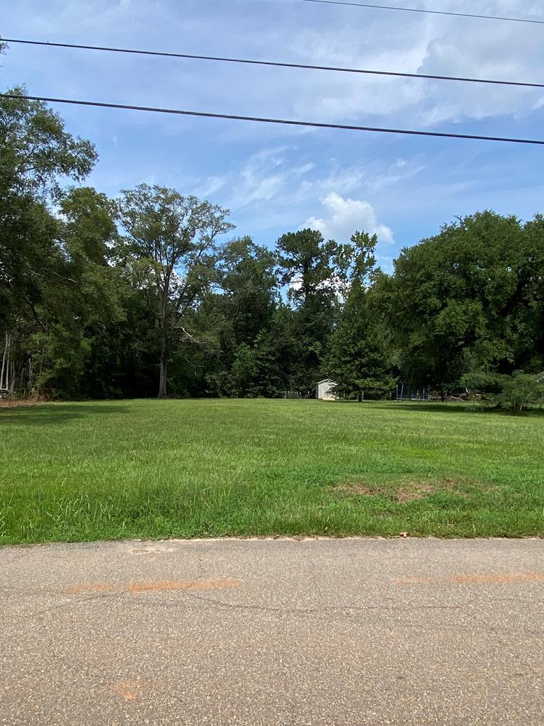 0 West Sycamore Road Carriere, MS 39426 - Photo 1 of 1 Main View