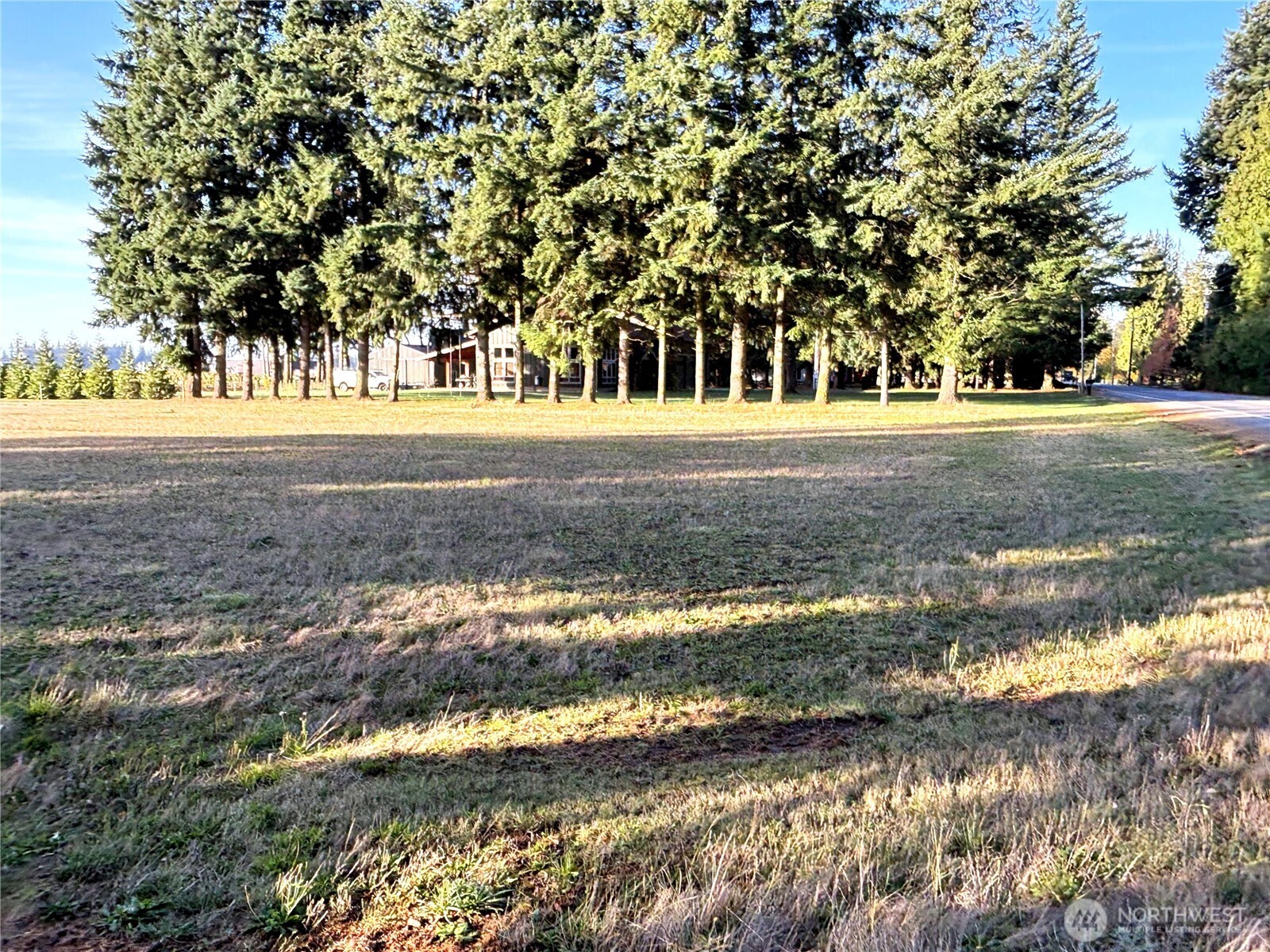 0 Loomis Trail Road Lynden, WA 98264 - Photo 5 of 18 a view of swimming pool and trees