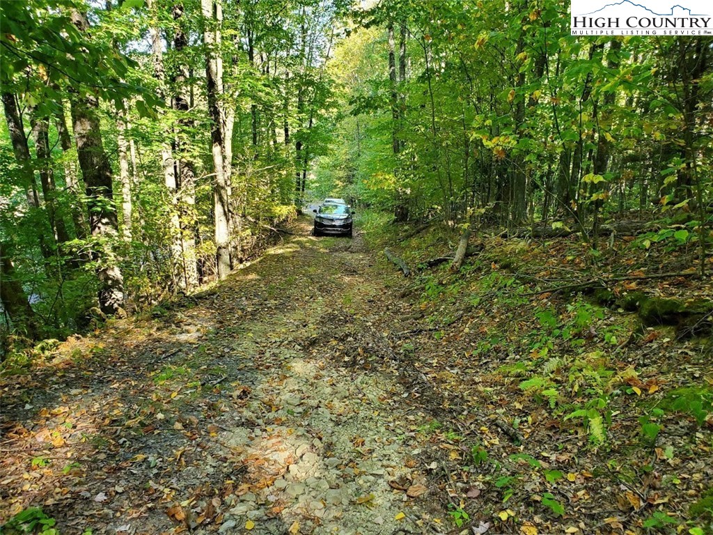 Autumn Path Path Banner Elk, NC 28604 - Photo 8 of 11 Gallery Image 8