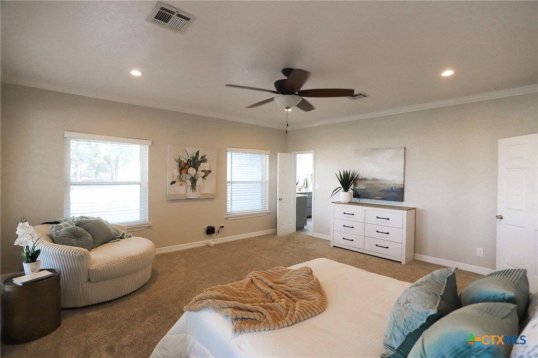 1701 Sulpher Wells Road Salado, TX 76571 - Photo 10 of 29