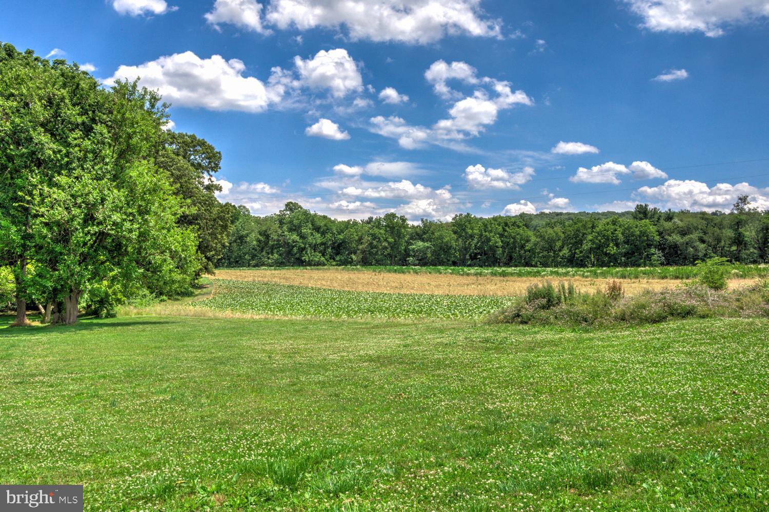 2885 Stoverstown Road Spring Grove, PA 17362 - Photo 45 of 52